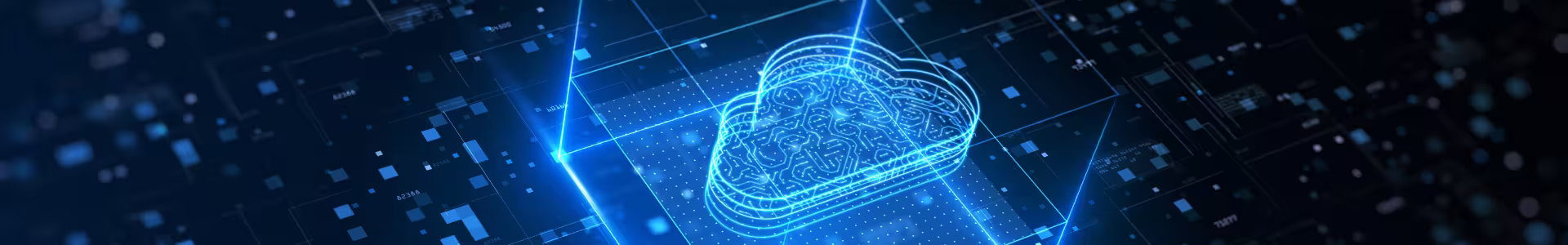 Data Protection and Privacy